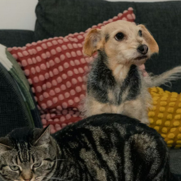 Bérangère
