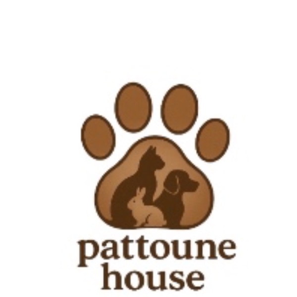 Pattoune