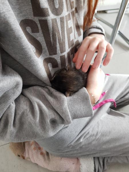 Aurelie