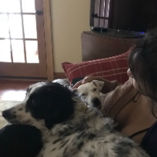 Sophie
