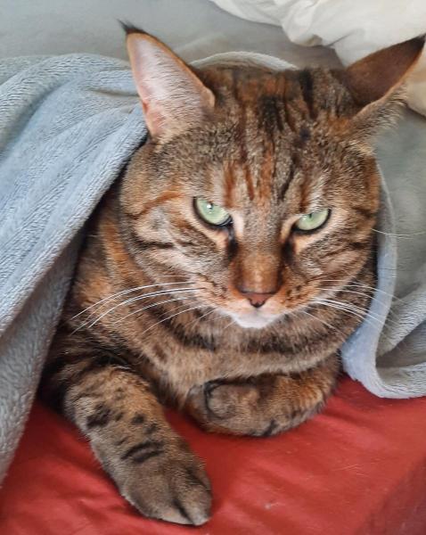 Francoise