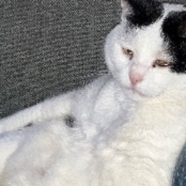 Nathalie