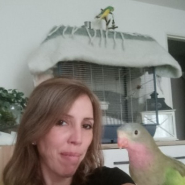 Sybil