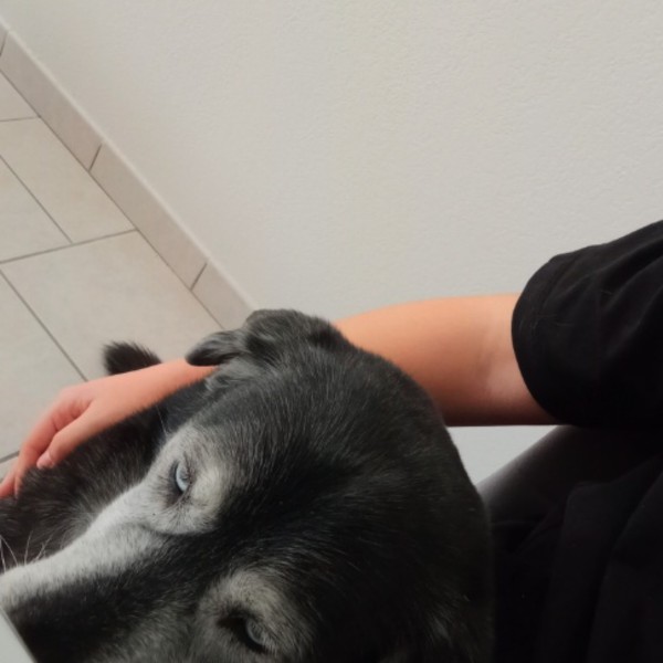 Stella