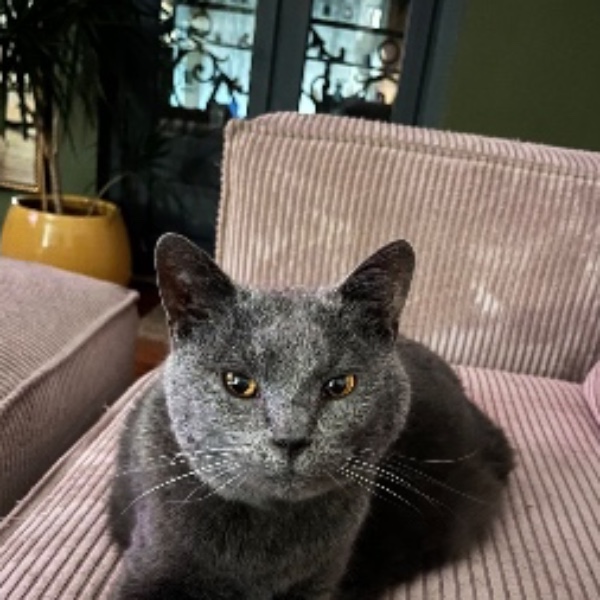 Marc