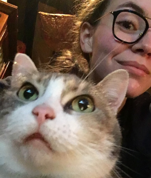 Cassandra