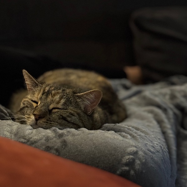 Julie