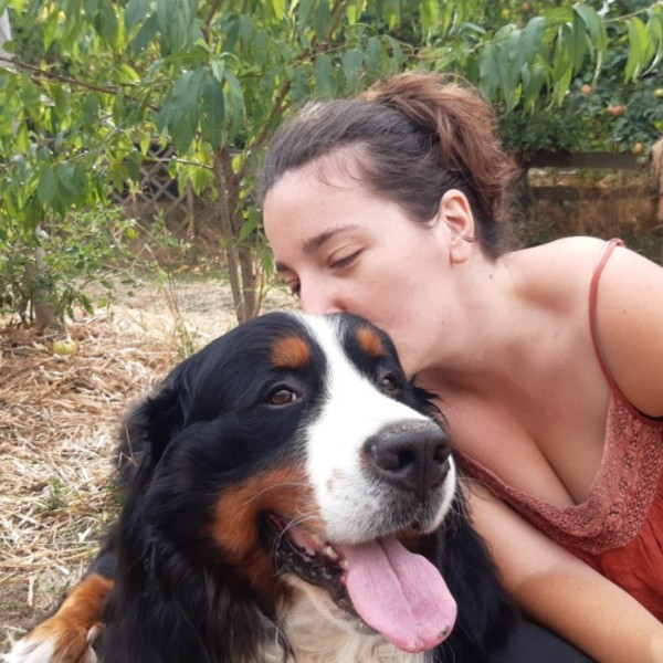 Romane