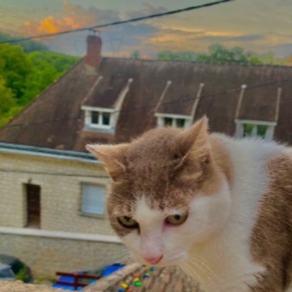 Leo